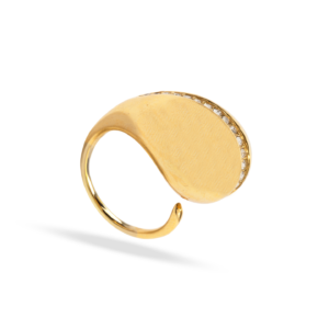 Anillo dorado volumétrico con borde de cristales