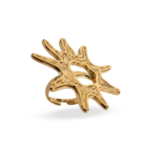 Anillo Estrella Infinita