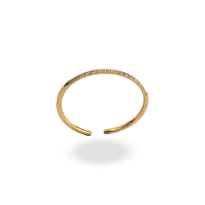 Anillo Brillo Continuo