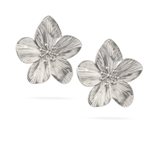 Pendientes  Flor Plata Radiante